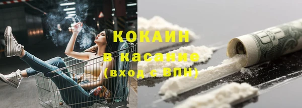 соль ск Богородицк