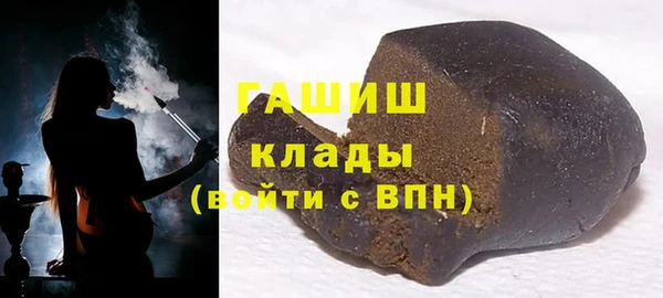 дмт Бородино
