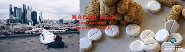 дмт Бородино