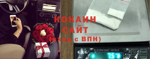 мдпв Кодинск