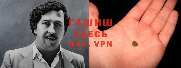 дмт Бородино