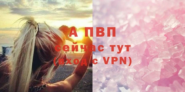дмт Бородино