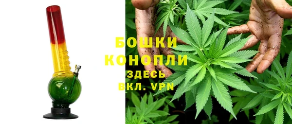 стафф Богородск