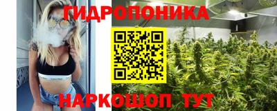 шишки Волжск
