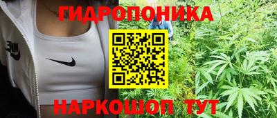 шишки Волжск