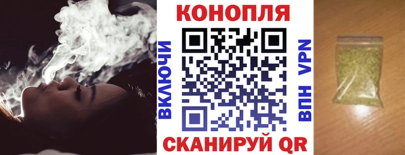 купить наркотики цена  Великий Устюг  Бошки Шишки VHQ 